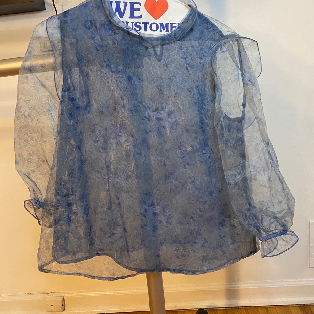 Zara puff sleeves peasant blouse